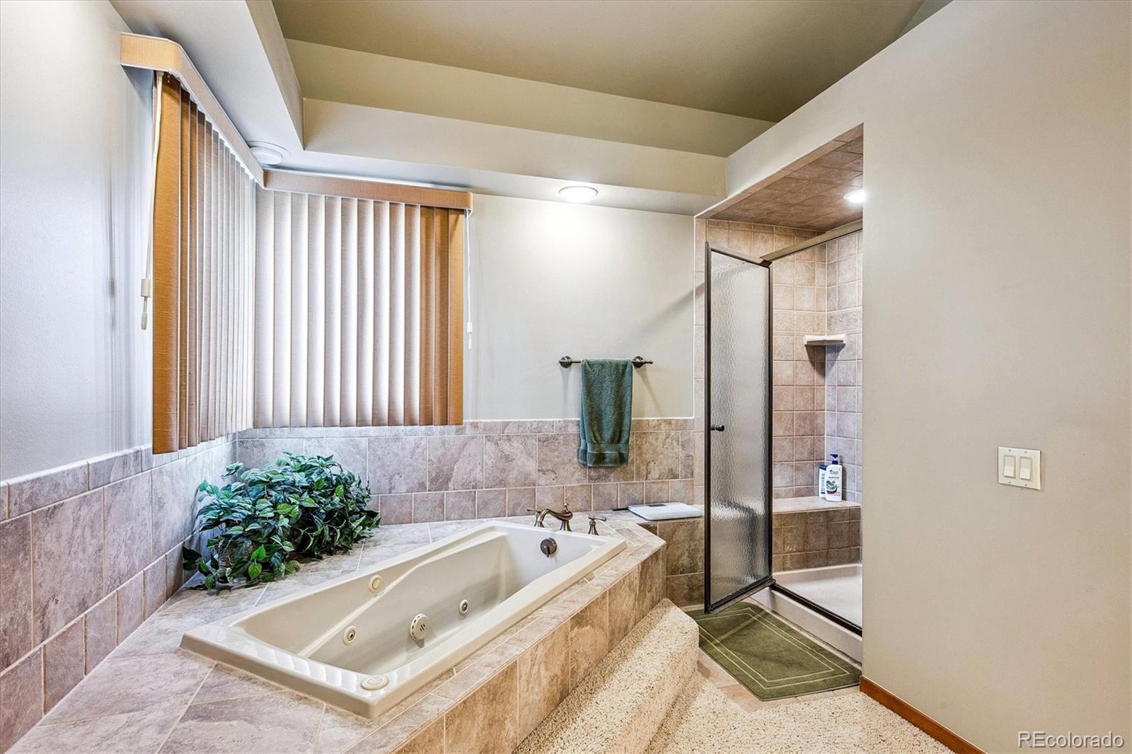 MLS Image #18 for 2275  emerald drive,castle rock, Colorado
