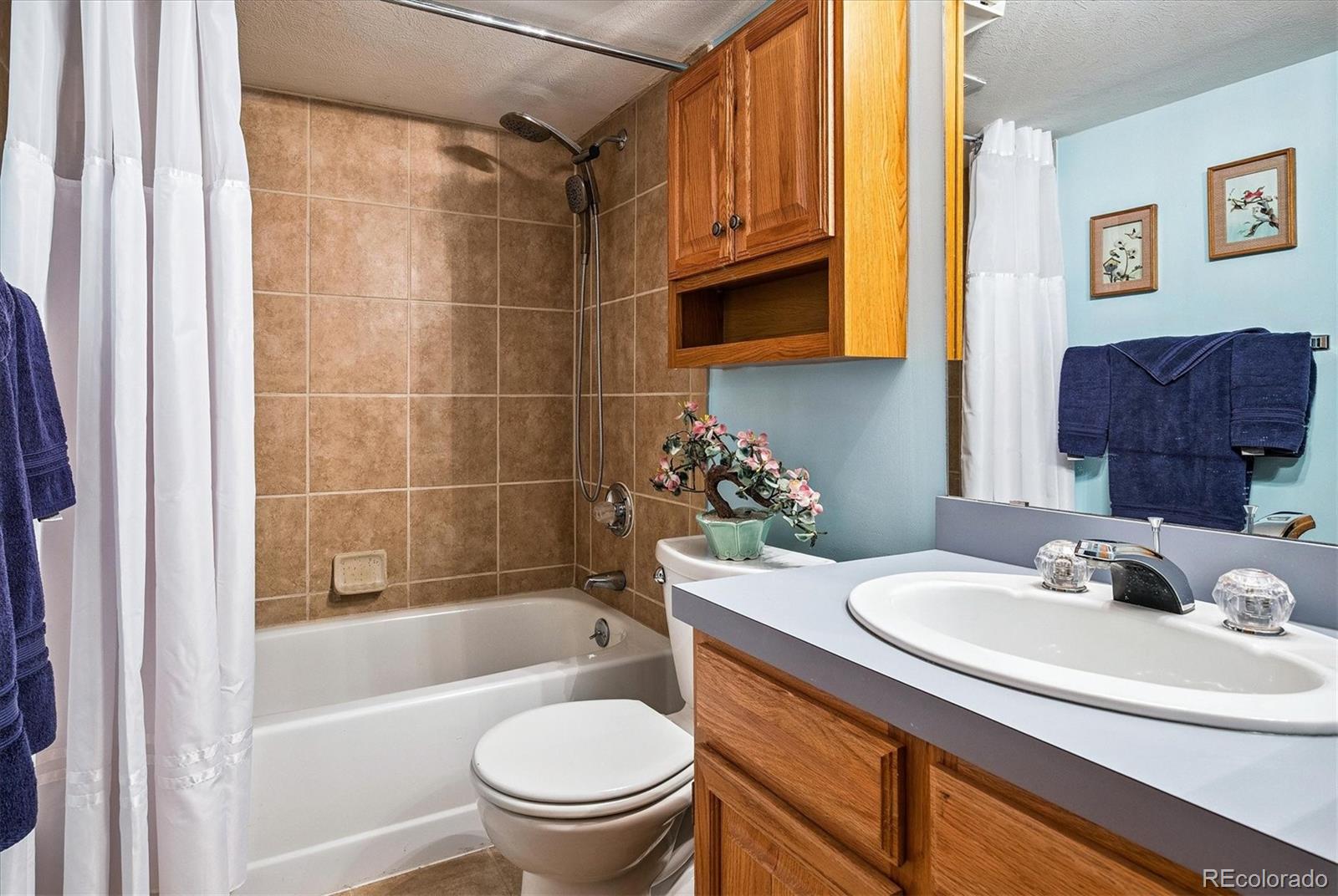 MLS Image #25 for 2275  emerald drive,castle rock, Colorado