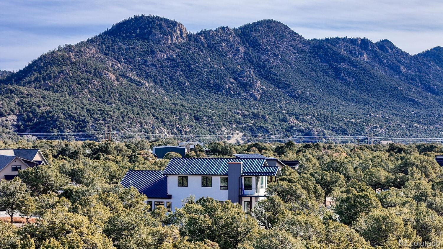 MLS Image #5 for 30019  teal court ,buena vista, Colorado