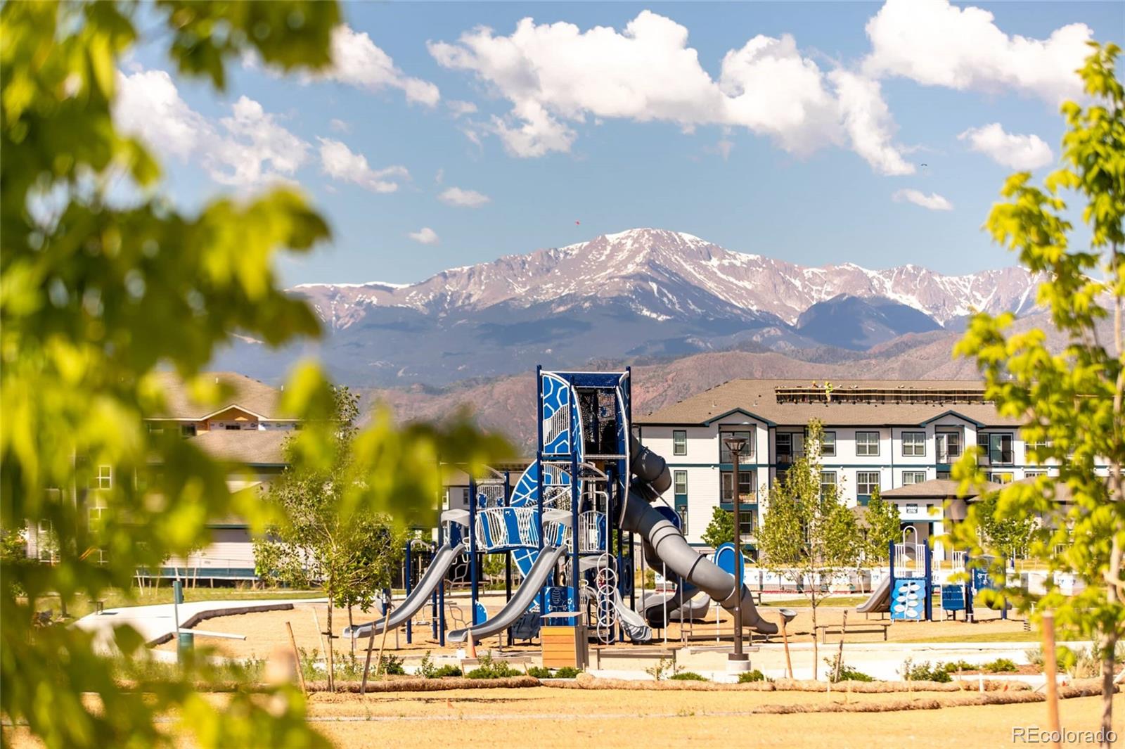 MLS Image #15 for 2240  peridot loop,colorado springs, Colorado