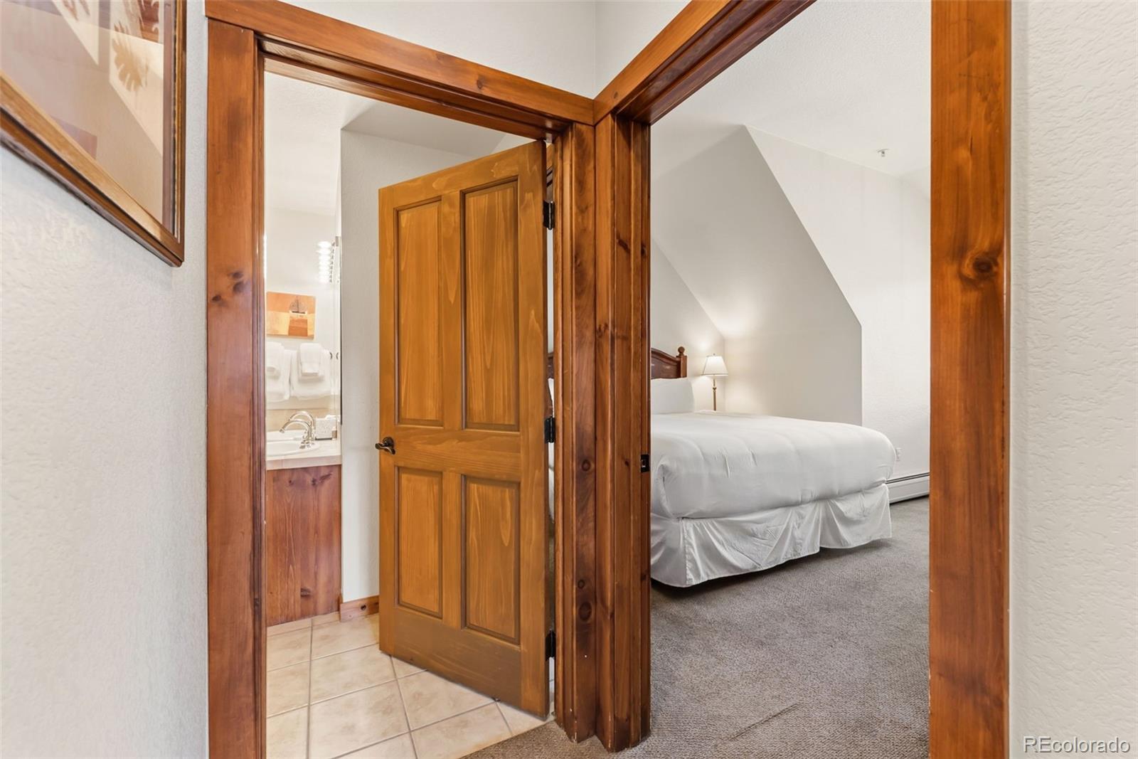 MLS Image #11 for 505 s main street,breckenridge, Colorado