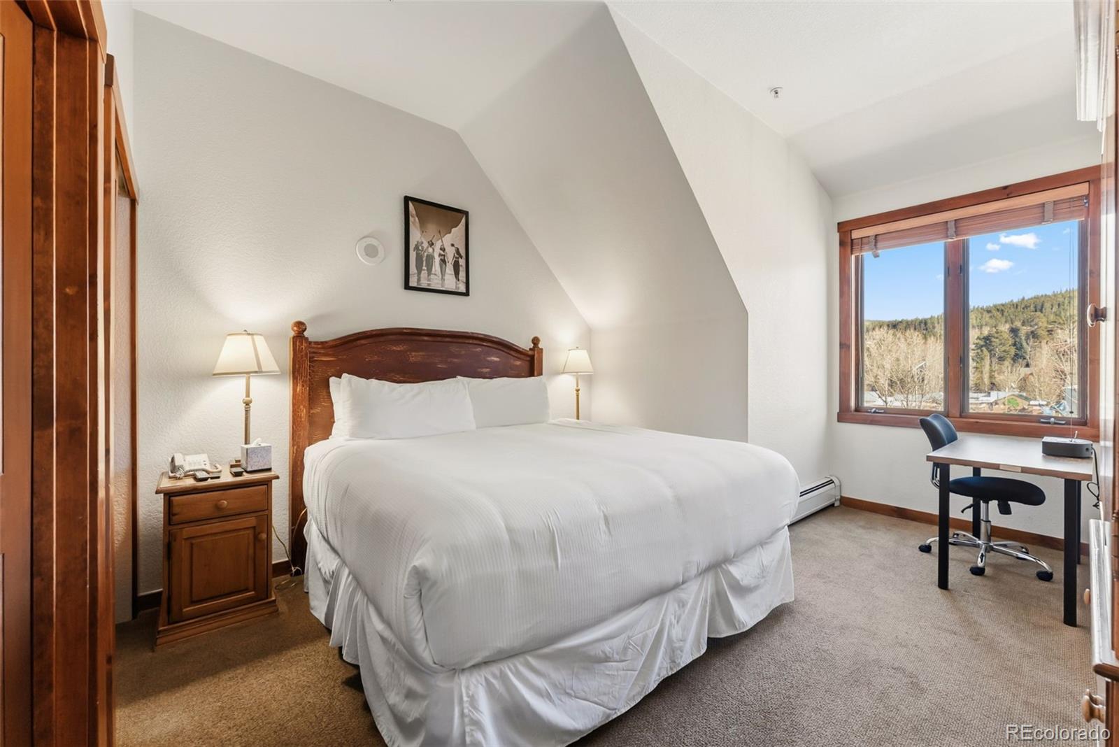 MLS Image #12 for 505 s main street,breckenridge, Colorado