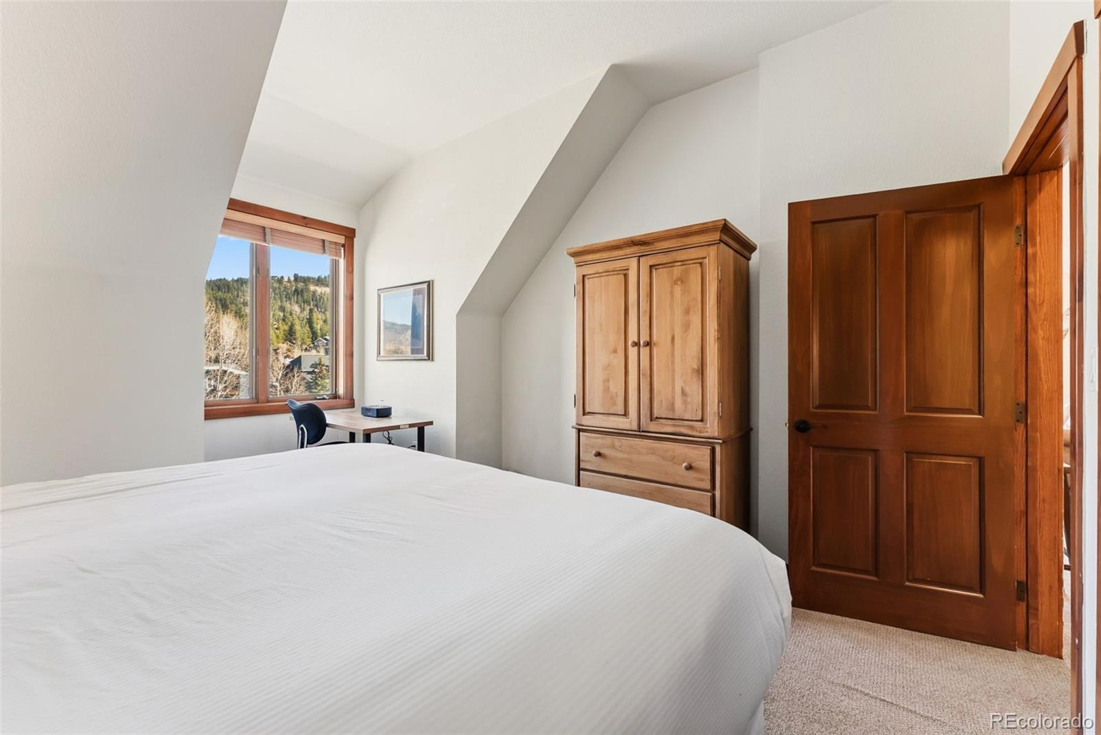 MLS Image #13 for 505 s main street,breckenridge, Colorado