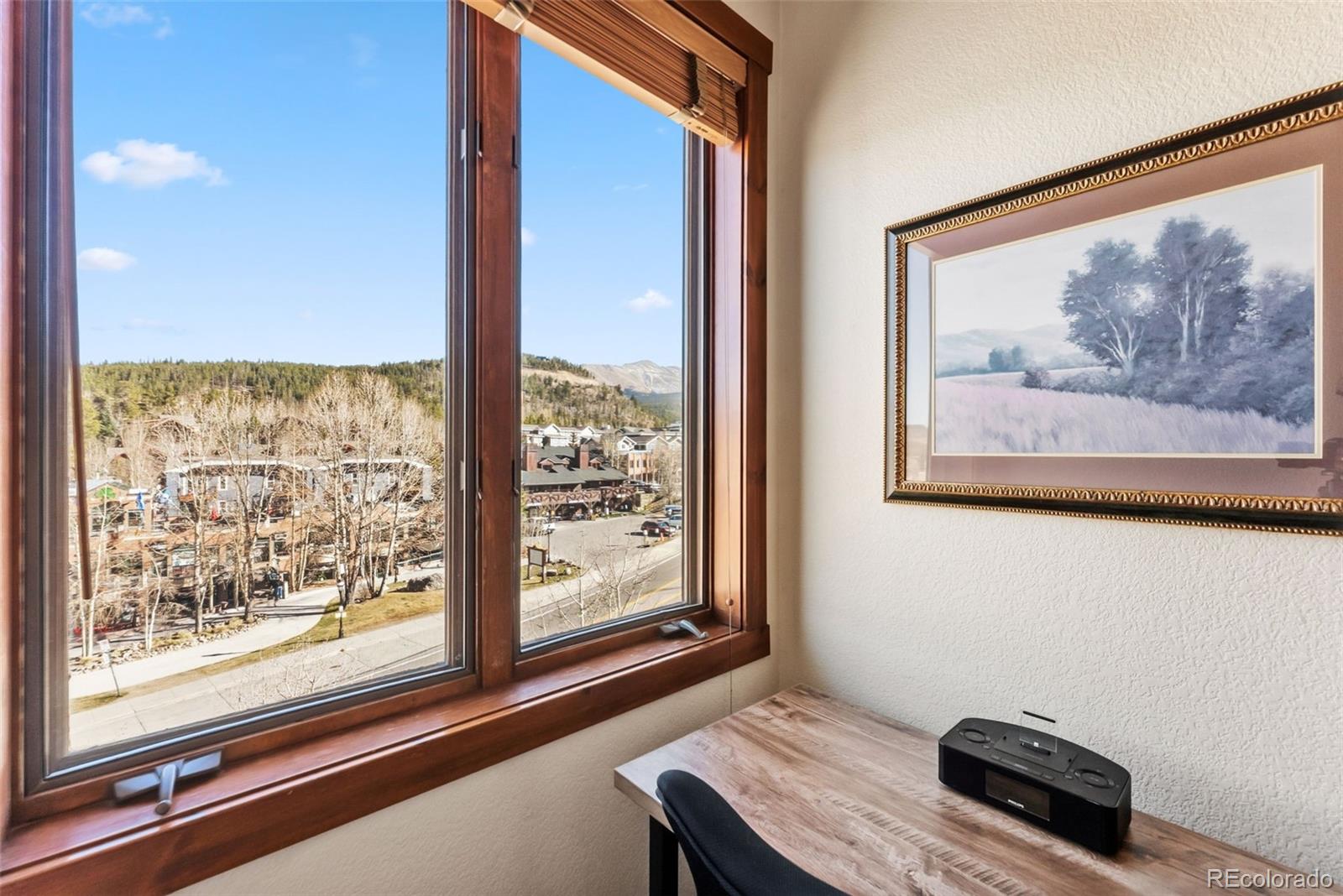MLS Image #14 for 505 s main street,breckenridge, Colorado