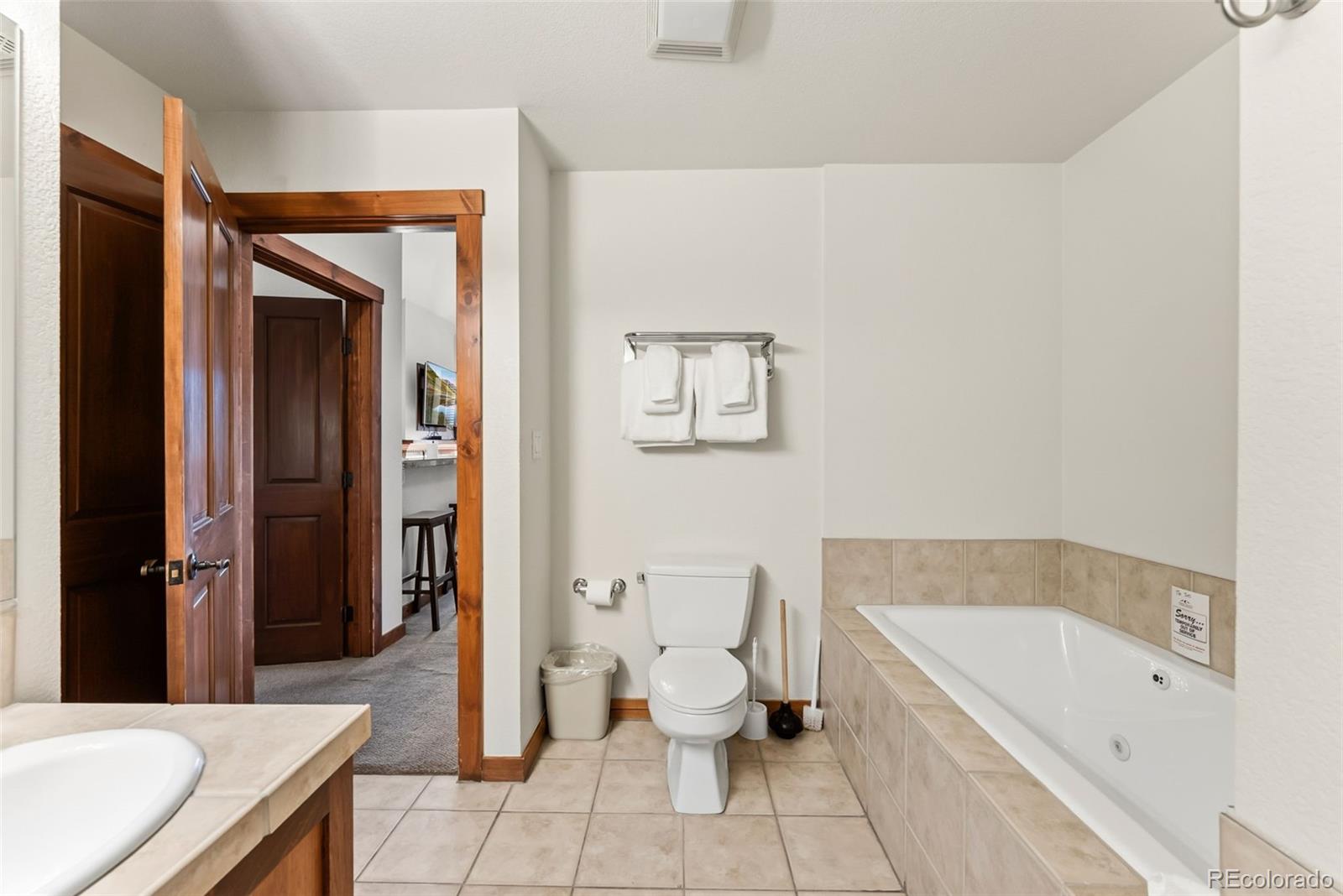MLS Image #15 for 505 s main street,breckenridge, Colorado