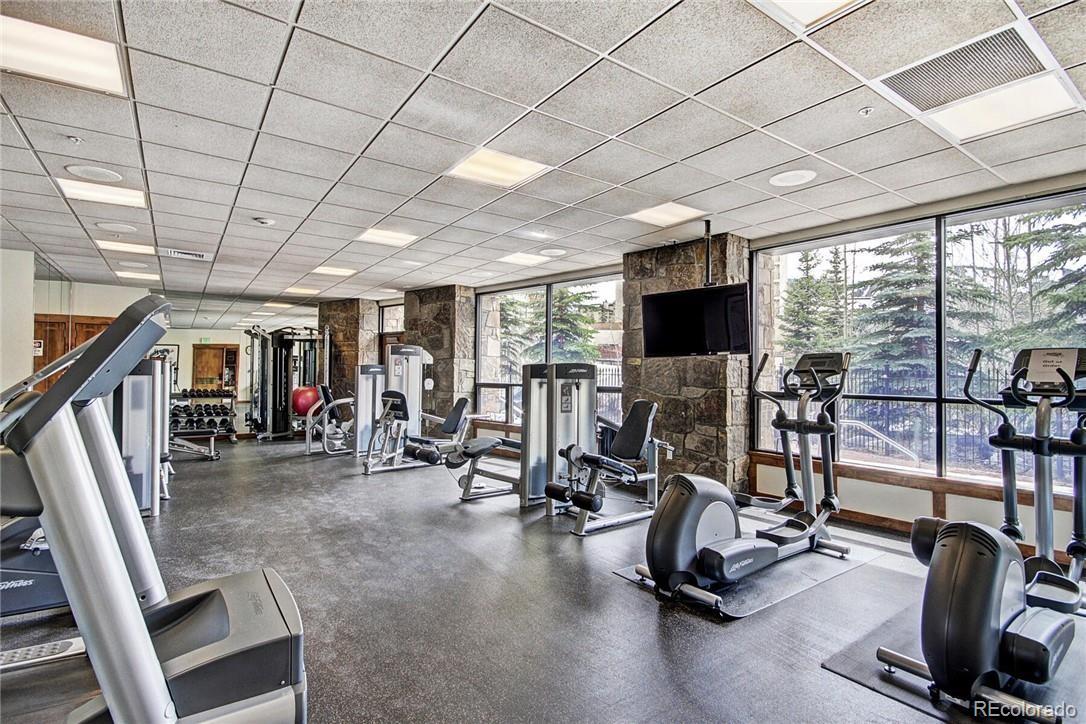 MLS Image #24 for 505 s main street,breckenridge, Colorado
