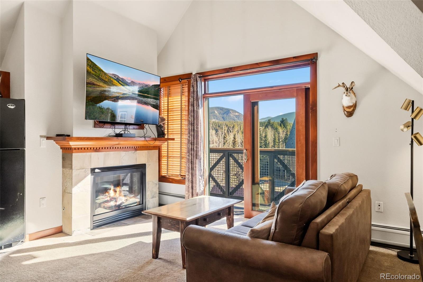MLS Image #4 for 505 s main street,breckenridge, Colorado