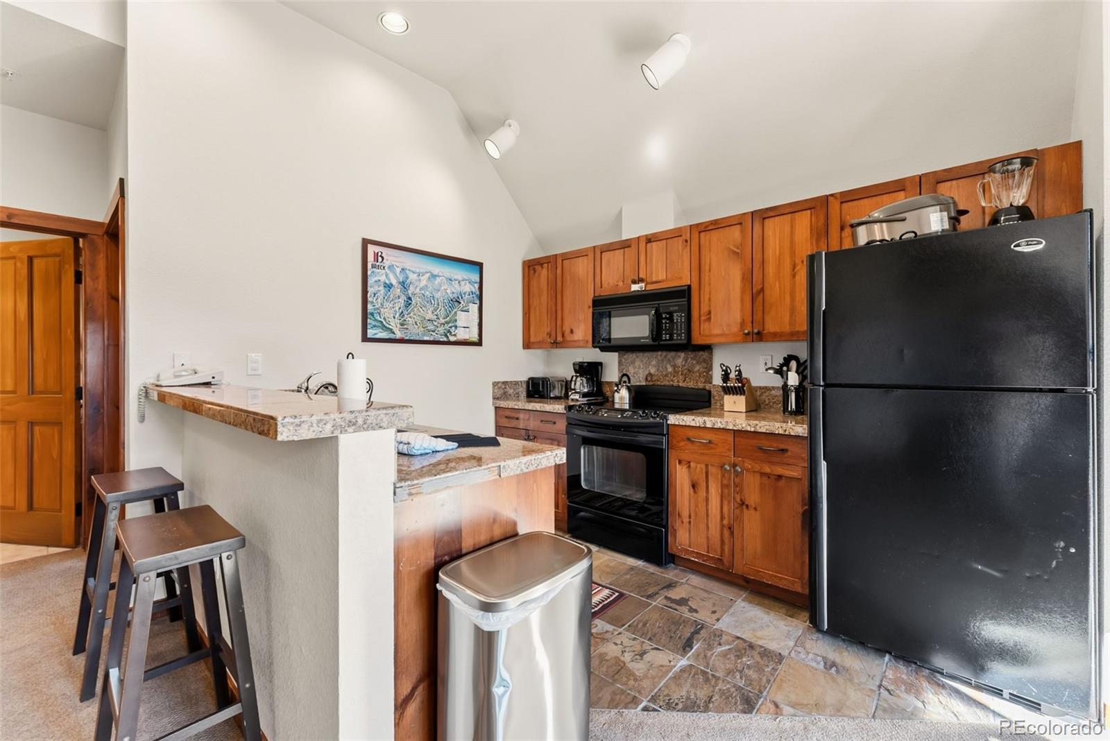 MLS Image #5 for 505 s main street,breckenridge, Colorado