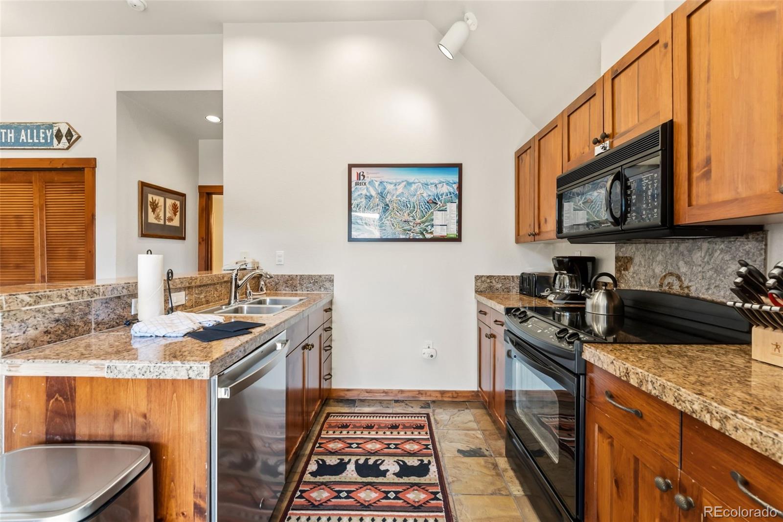 MLS Image #7 for 505 s main street,breckenridge, Colorado