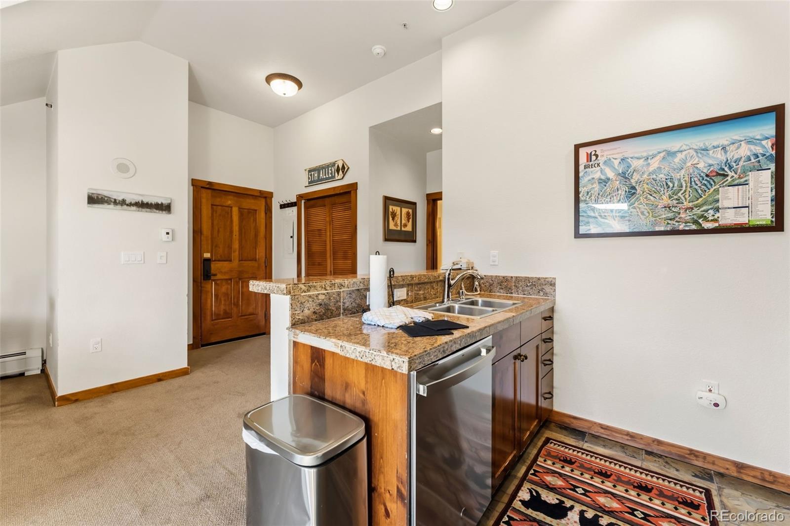 MLS Image #8 for 505 s main street,breckenridge, Colorado