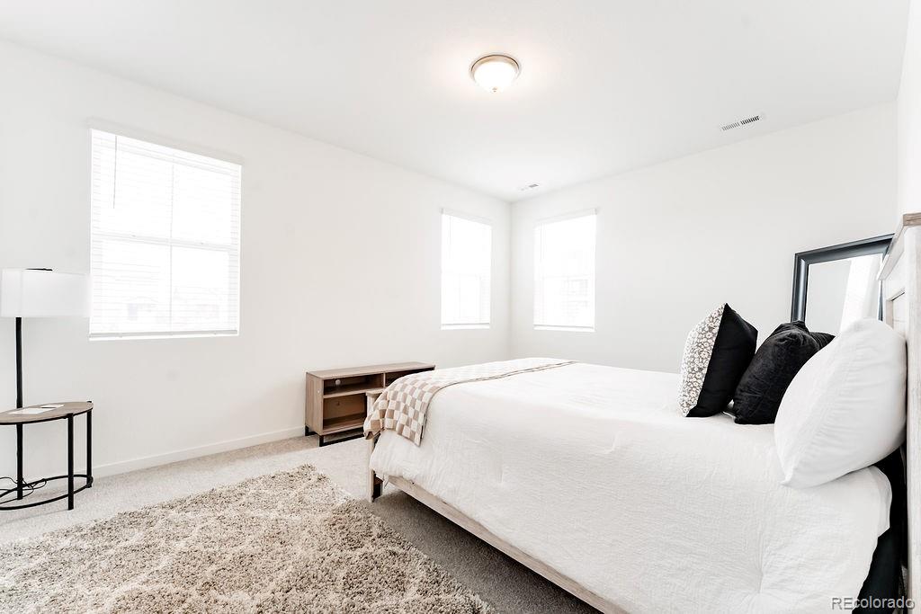MLS Image #10 for 8405  mount ouray road,littleton, Colorado