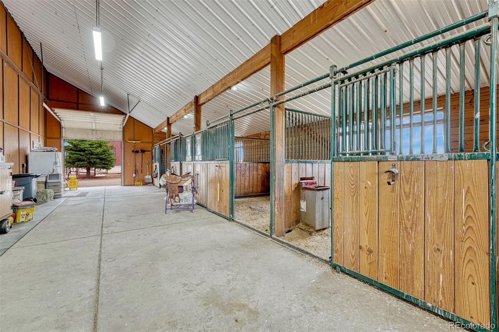 MLS Image #7 for 9565  oak springs trail,franktown, Colorado