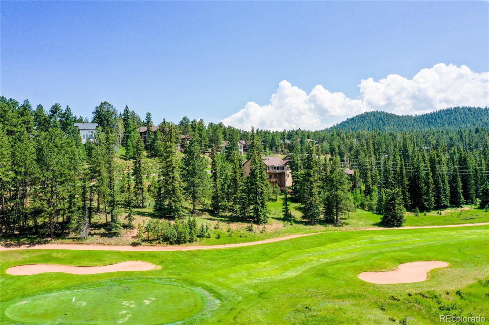MLS Image #10 for 1530  masters drive,woodland park, Colorado