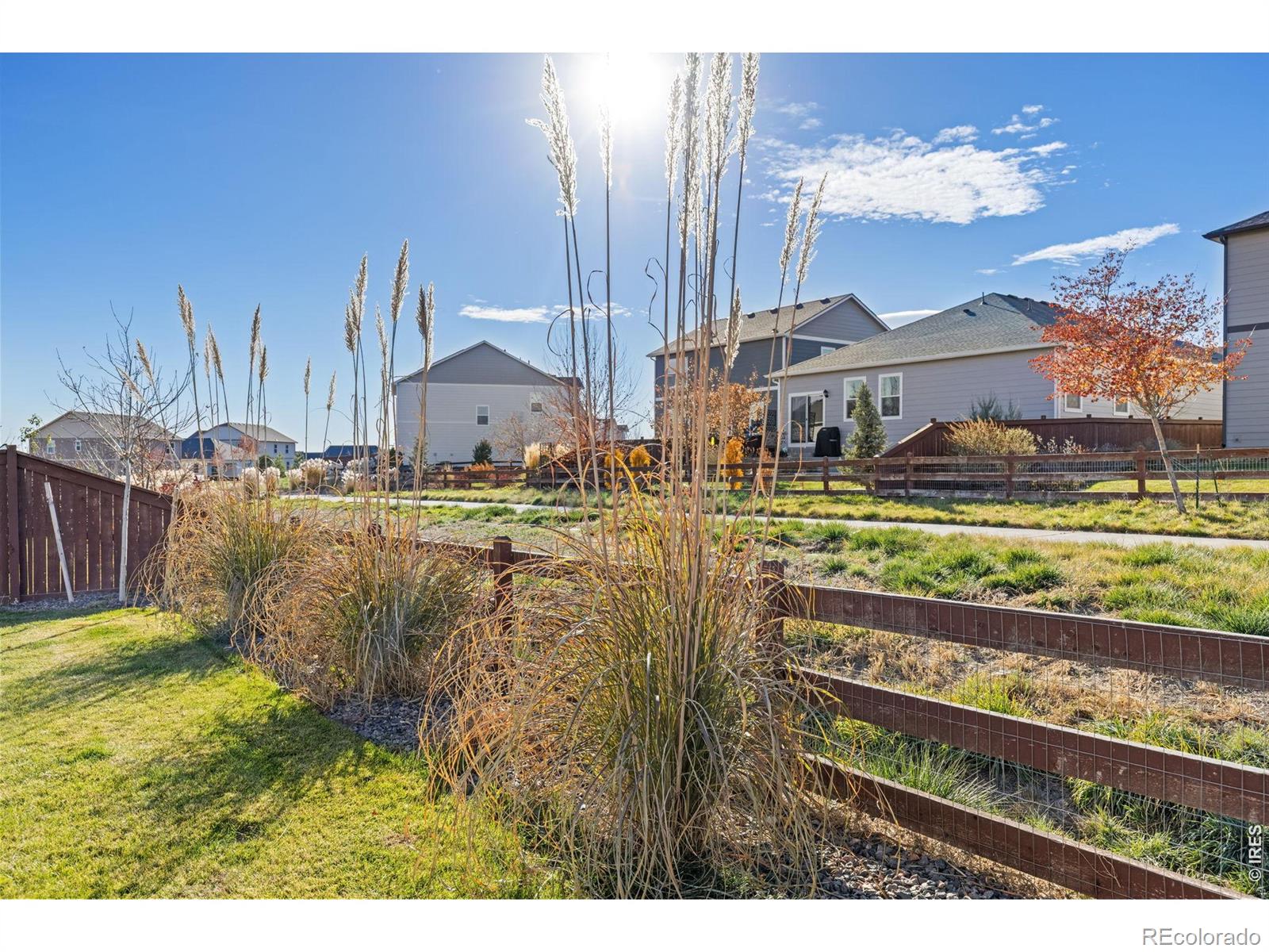 MLS Image #2 for 232  swallow road,johnstown, Colorado