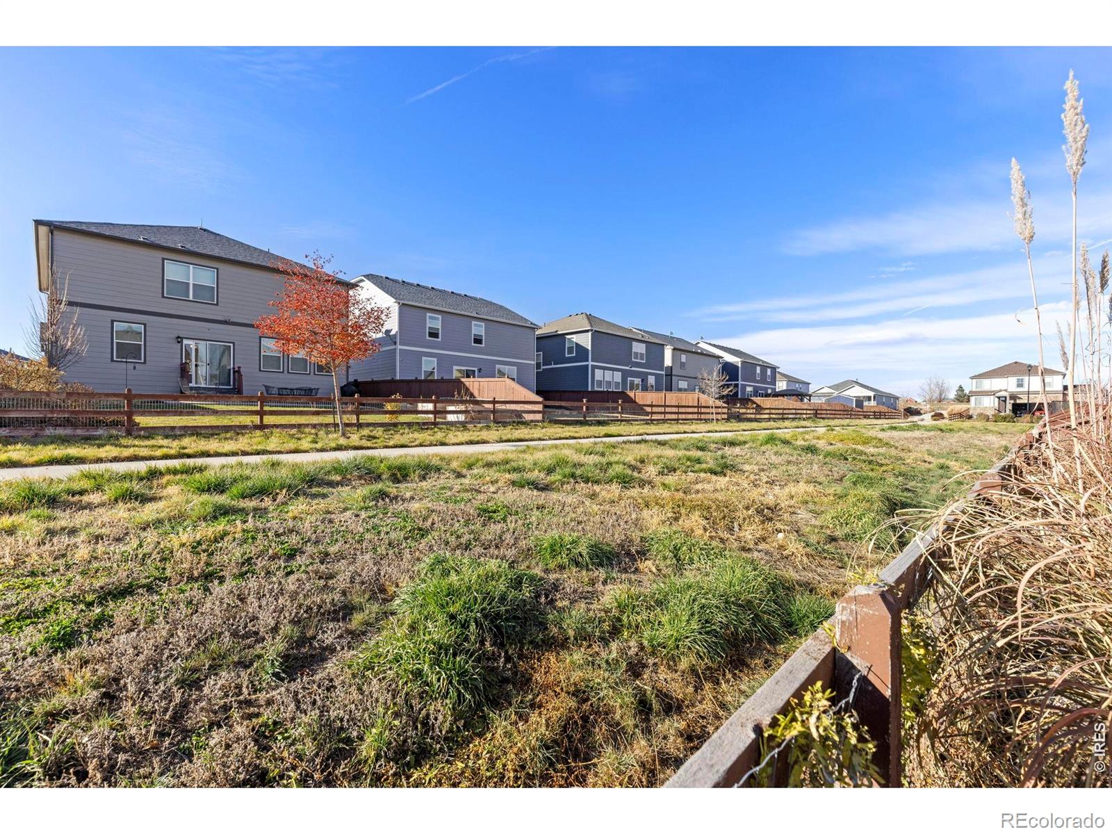 MLS Image #31 for 232  swallow road,johnstown, Colorado
