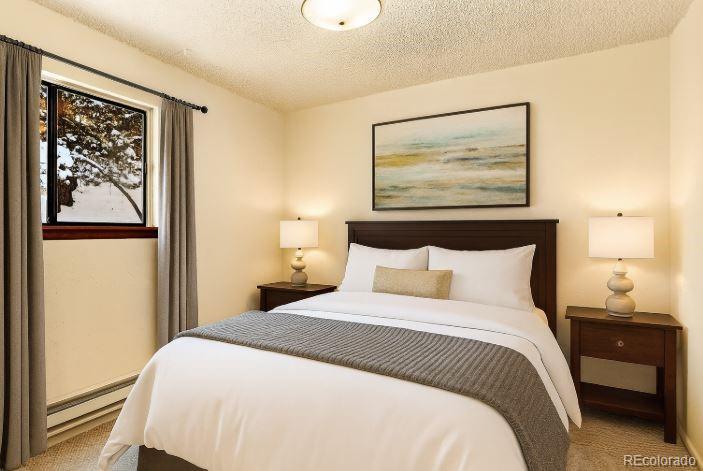 MLS Image #13 for 217  catamount ridge road,bailey, Colorado