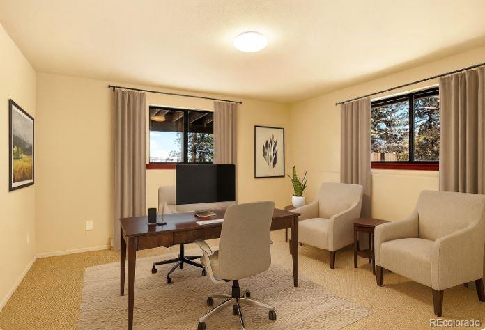 MLS Image #27 for 217  catamount ridge road,bailey, Colorado