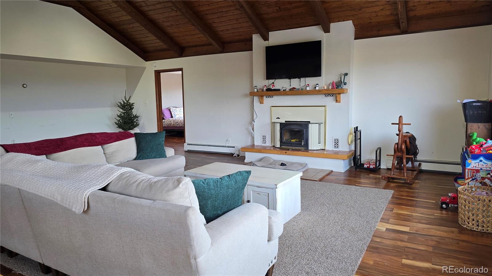 MLS Image #15 for 411  gruenberg road,fort garland, Colorado