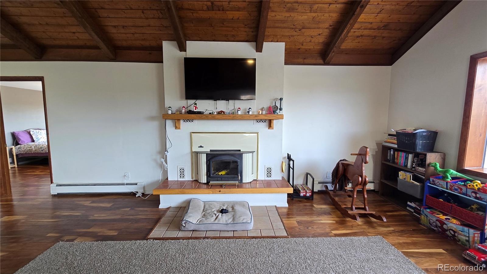 MLS Image #17 for 411  gruenberg road,fort garland, Colorado