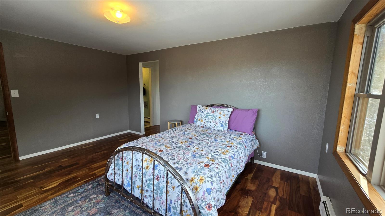 MLS Image #20 for 411  gruenberg road,fort garland, Colorado