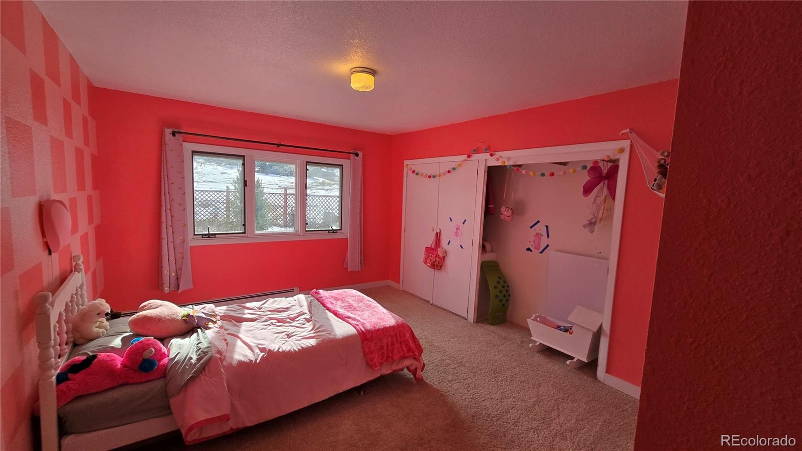MLS Image #29 for 411  gruenberg road,fort garland, Colorado