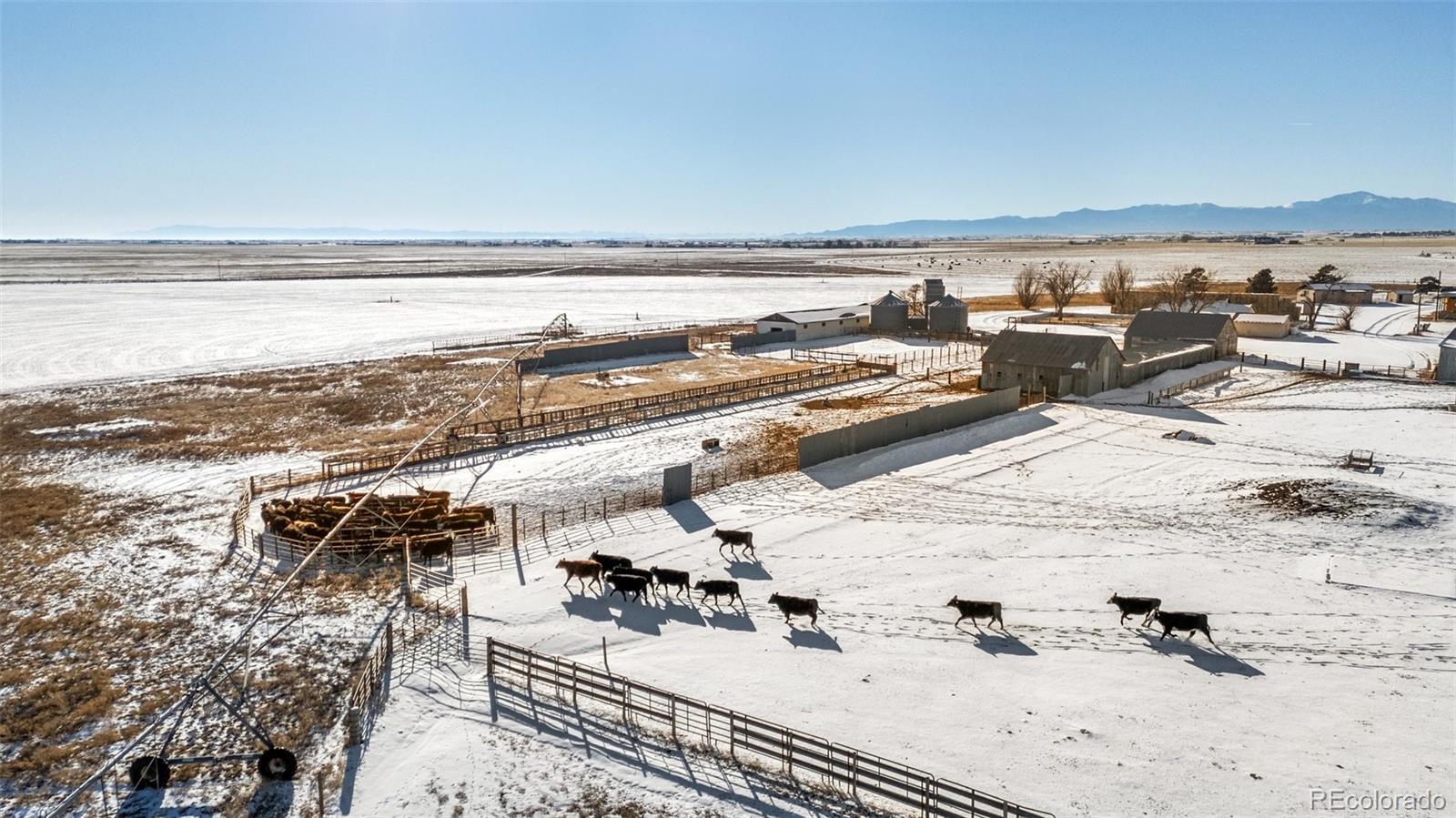 MLS Image #14 for 24500 e garrett road,calhan, Colorado