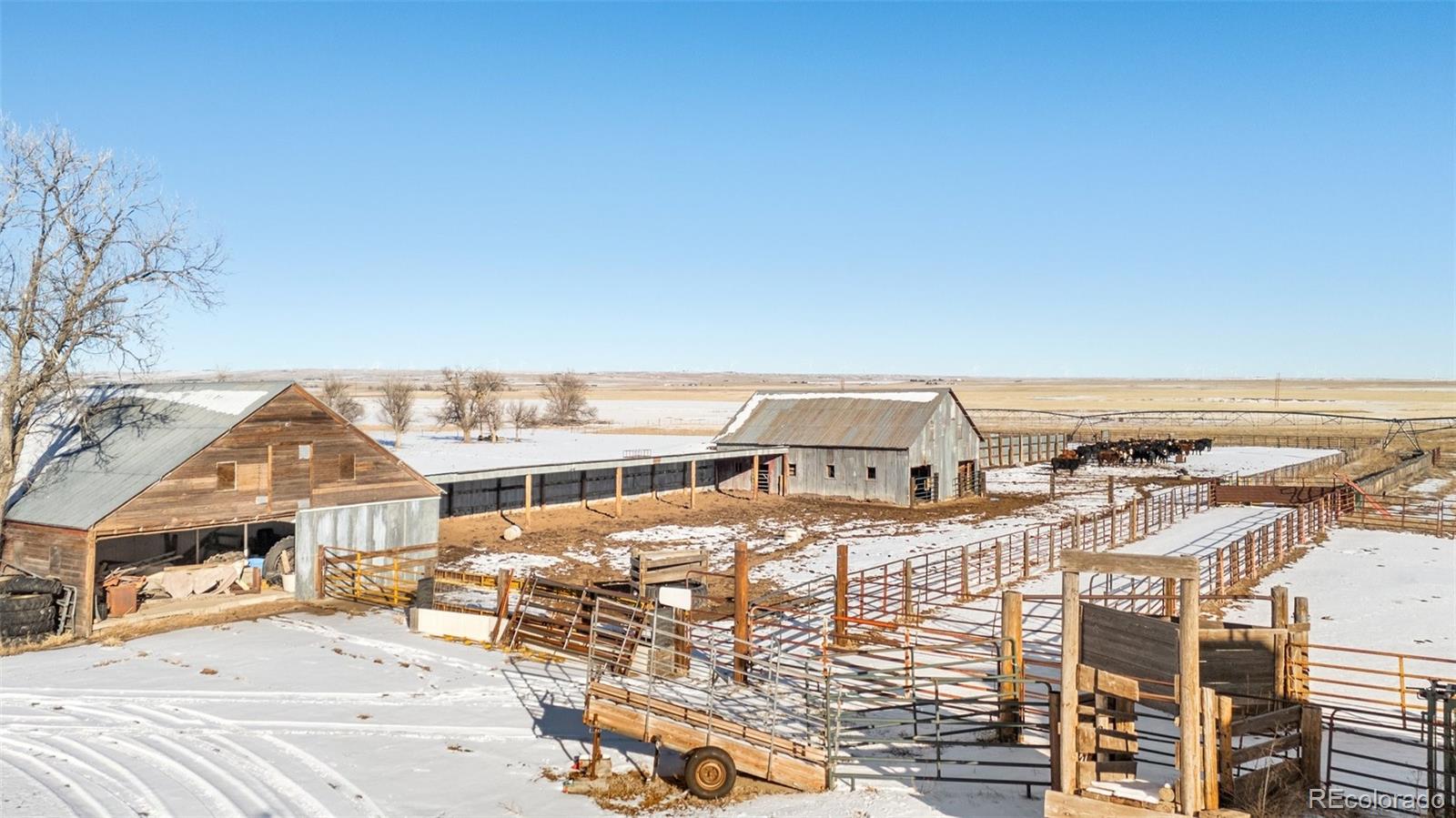 MLS Image #7 for 24500 e garrett road,calhan, Colorado