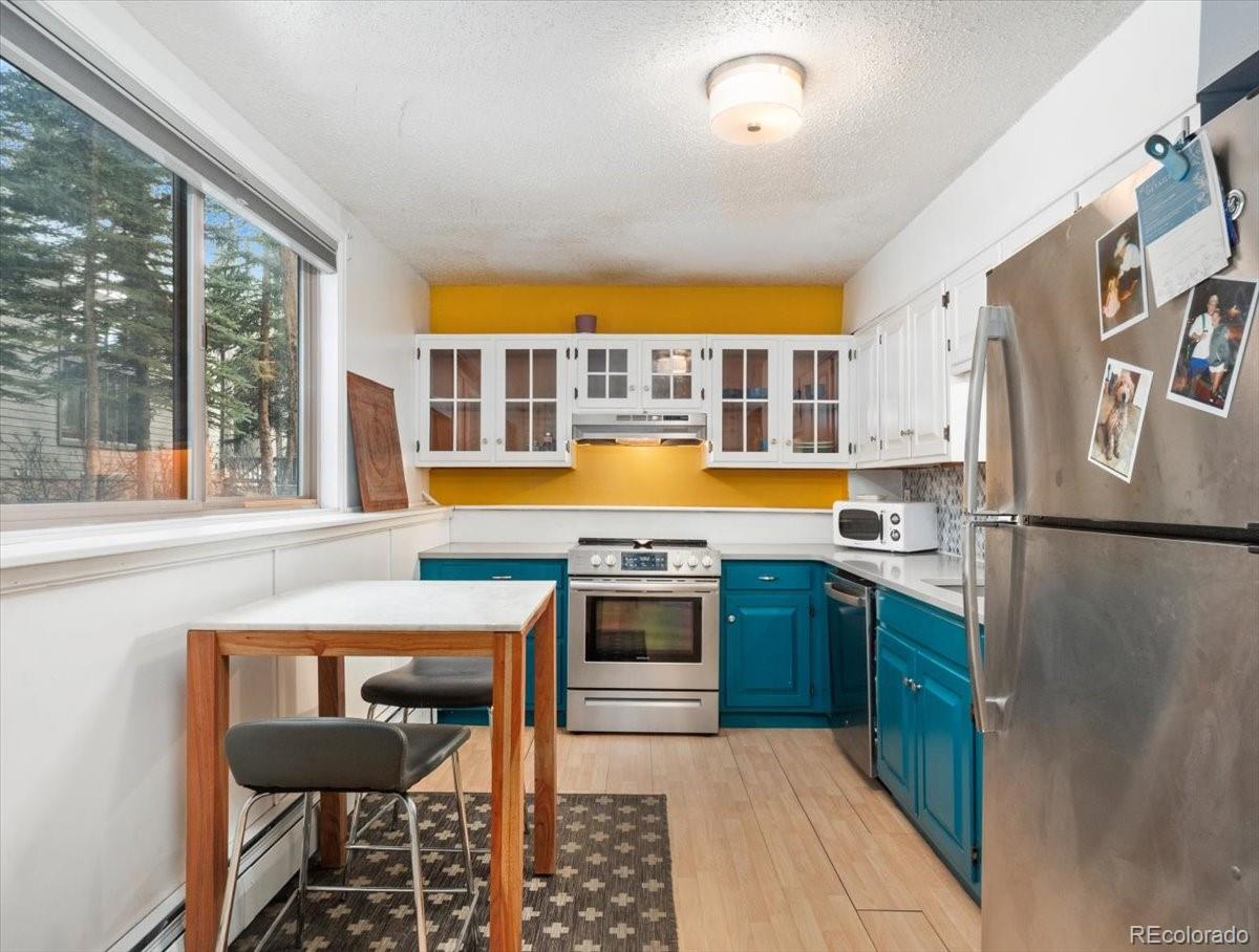 MLS Image #0 for 550 s french street g1,breckenridge, Colorado