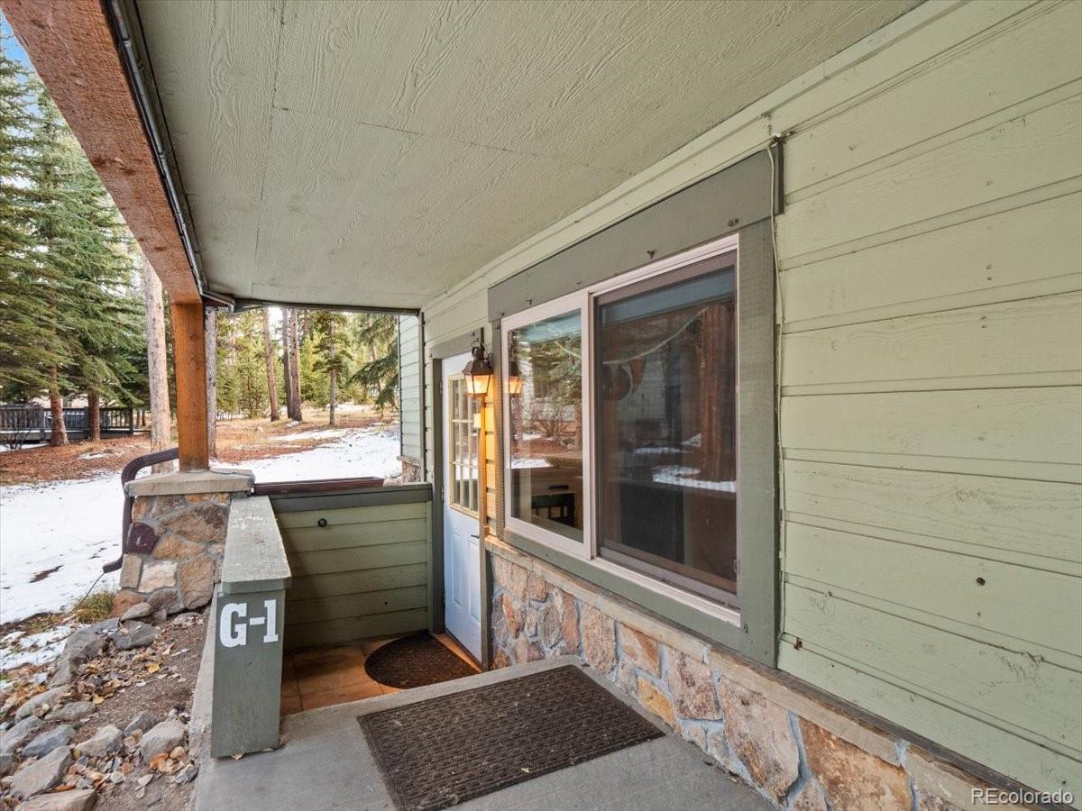 MLS Image #18 for 550 s french street g1,breckenridge, Colorado