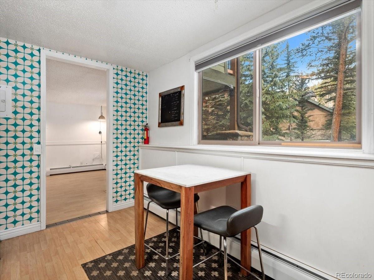 MLS Image #2 for 550 s french street g1,breckenridge, Colorado