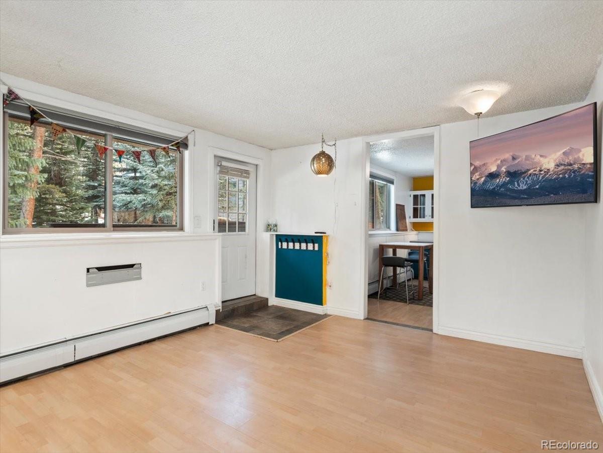 MLS Image #20 for 550 s french street g1,breckenridge, Colorado