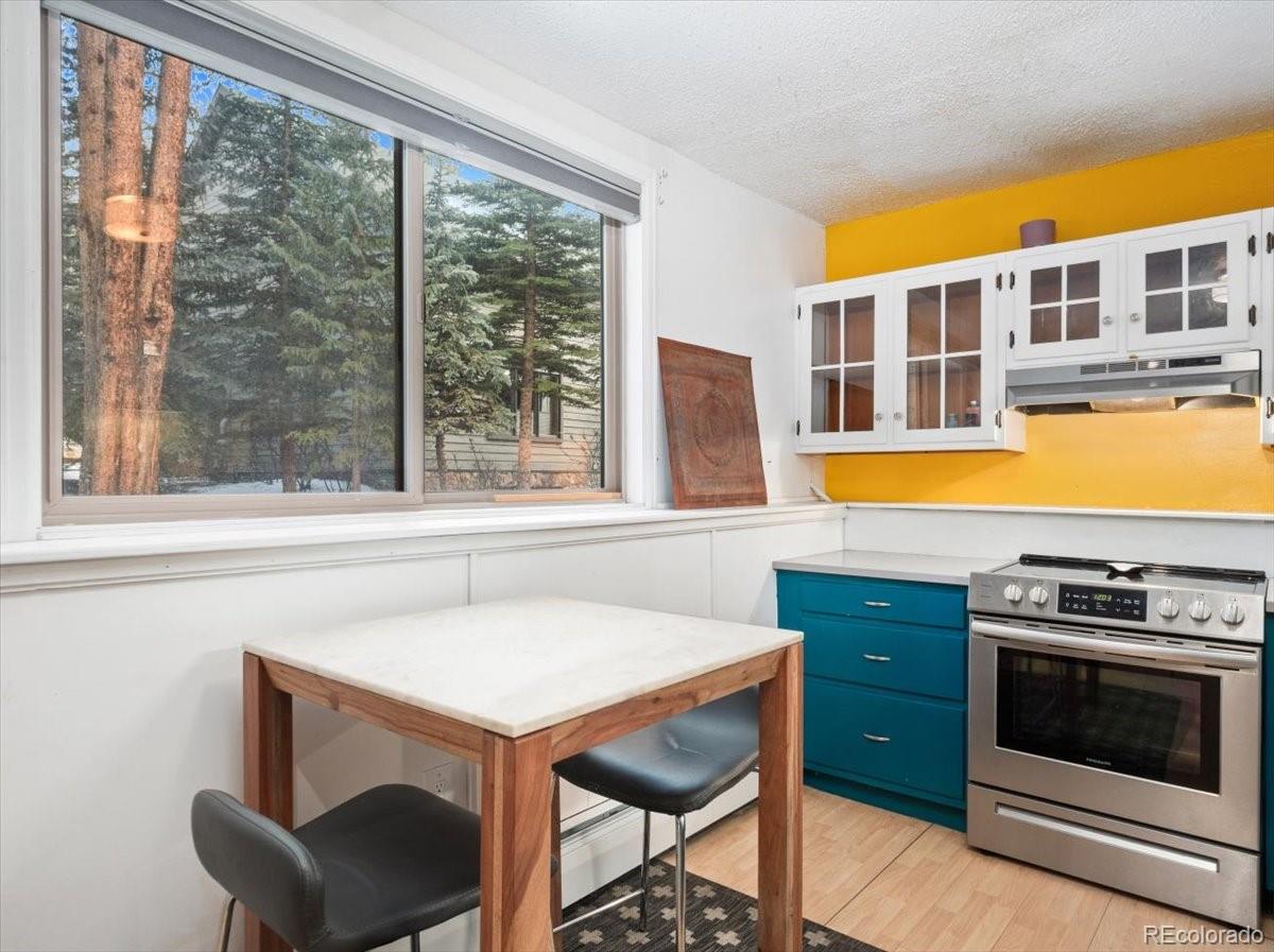 MLS Image #4 for 550 s french street g1,breckenridge, Colorado