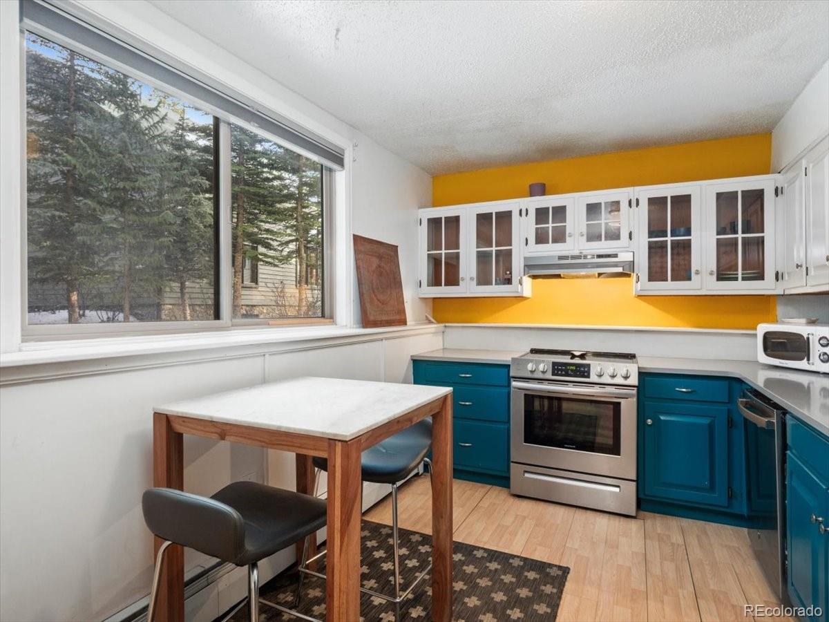MLS Image #5 for 550 s french street g1,breckenridge, Colorado