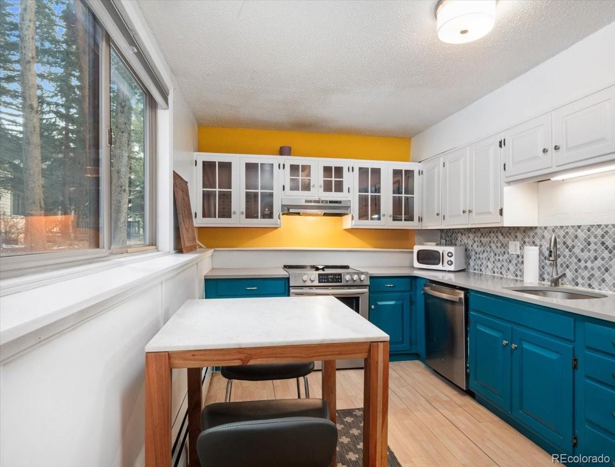 MLS Image #6 for 550 s french street g1,breckenridge, Colorado