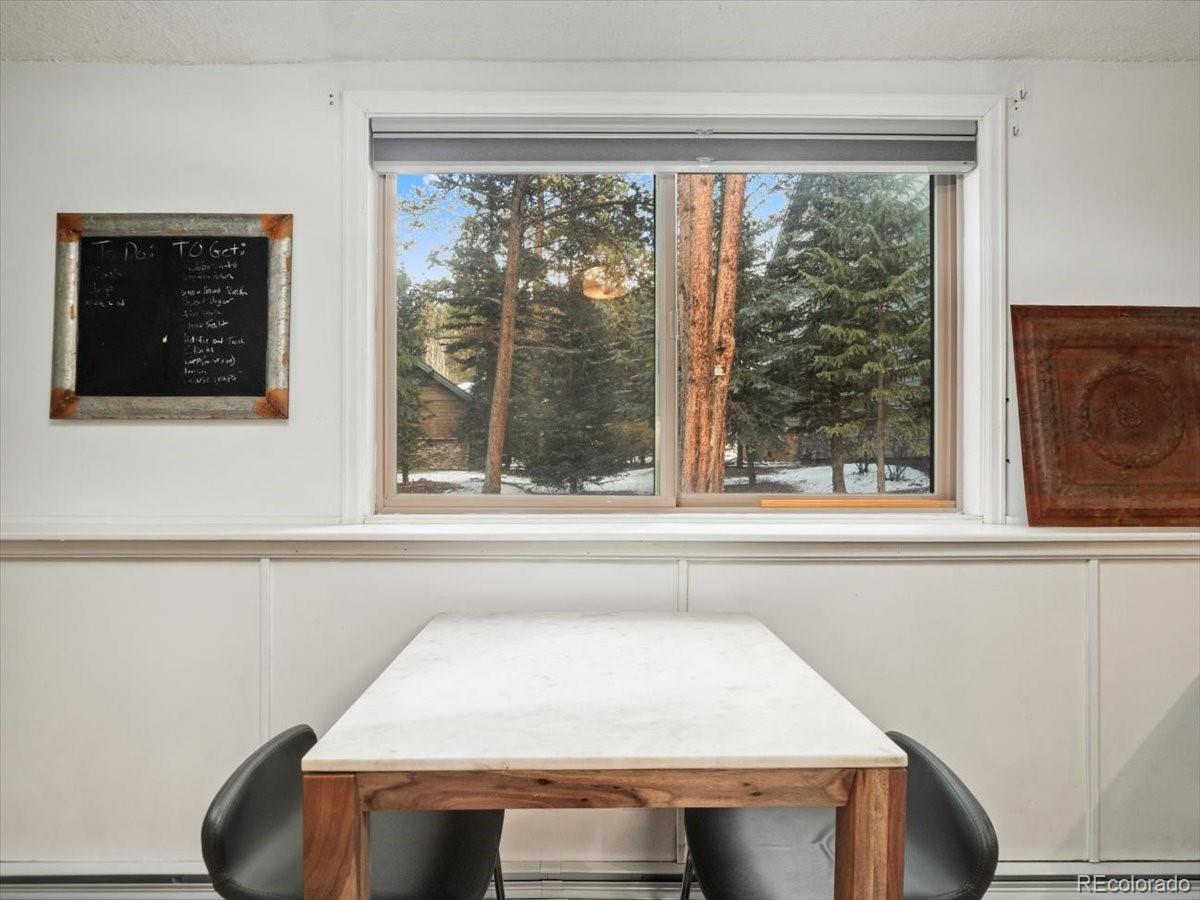 MLS Image #7 for 550 s french street g1,breckenridge, Colorado