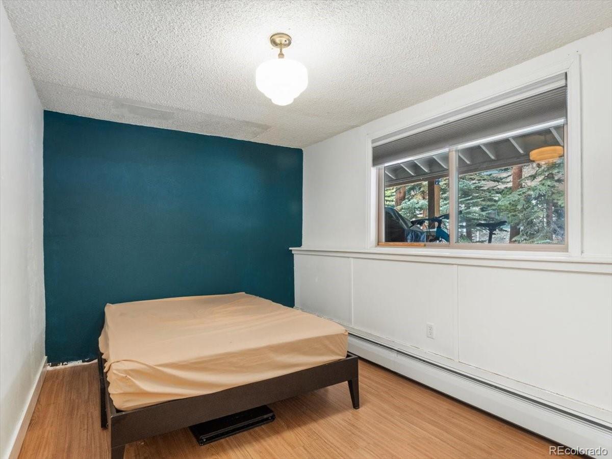 MLS Image #8 for 550 s french street g1,breckenridge, Colorado
