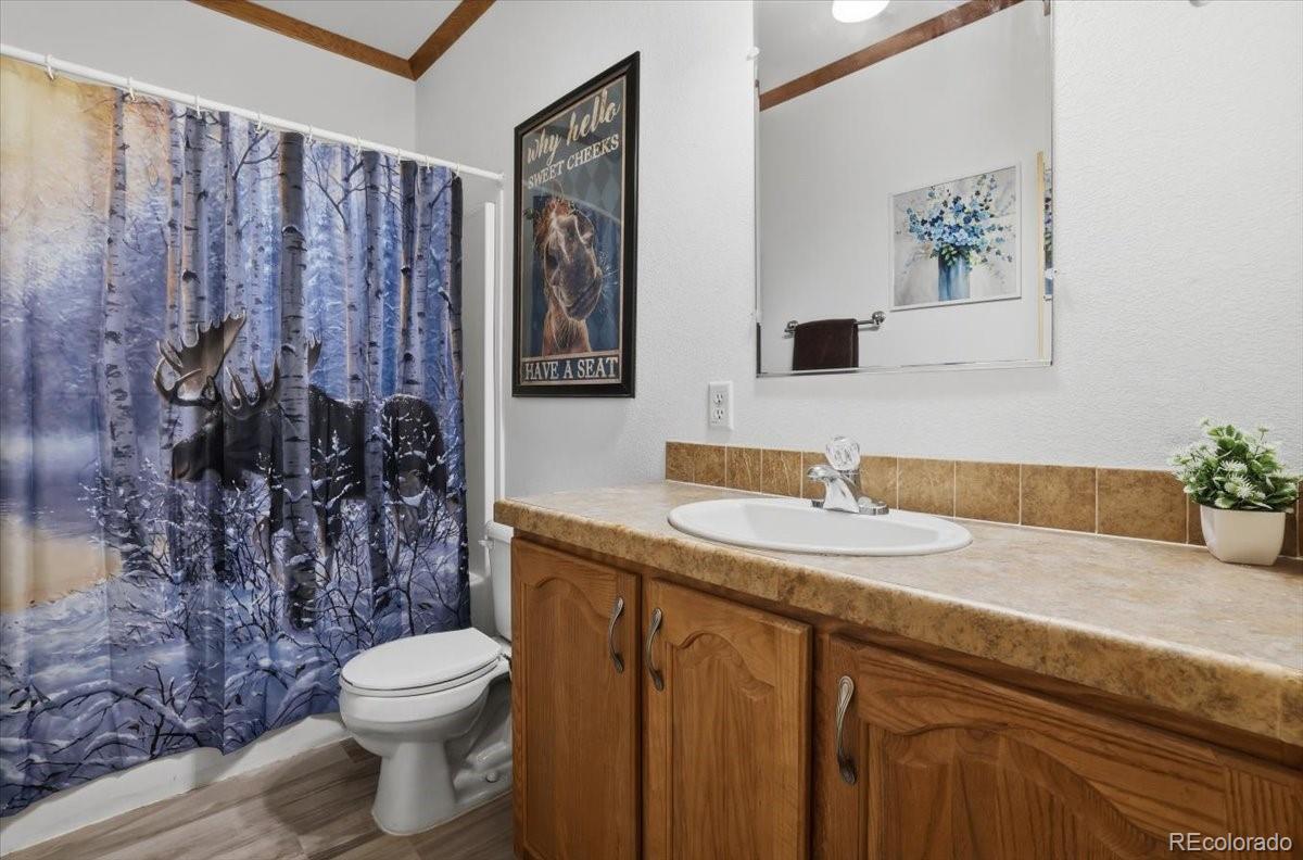 MLS Image #18 for 204  crooked creek road,fairplay, Colorado