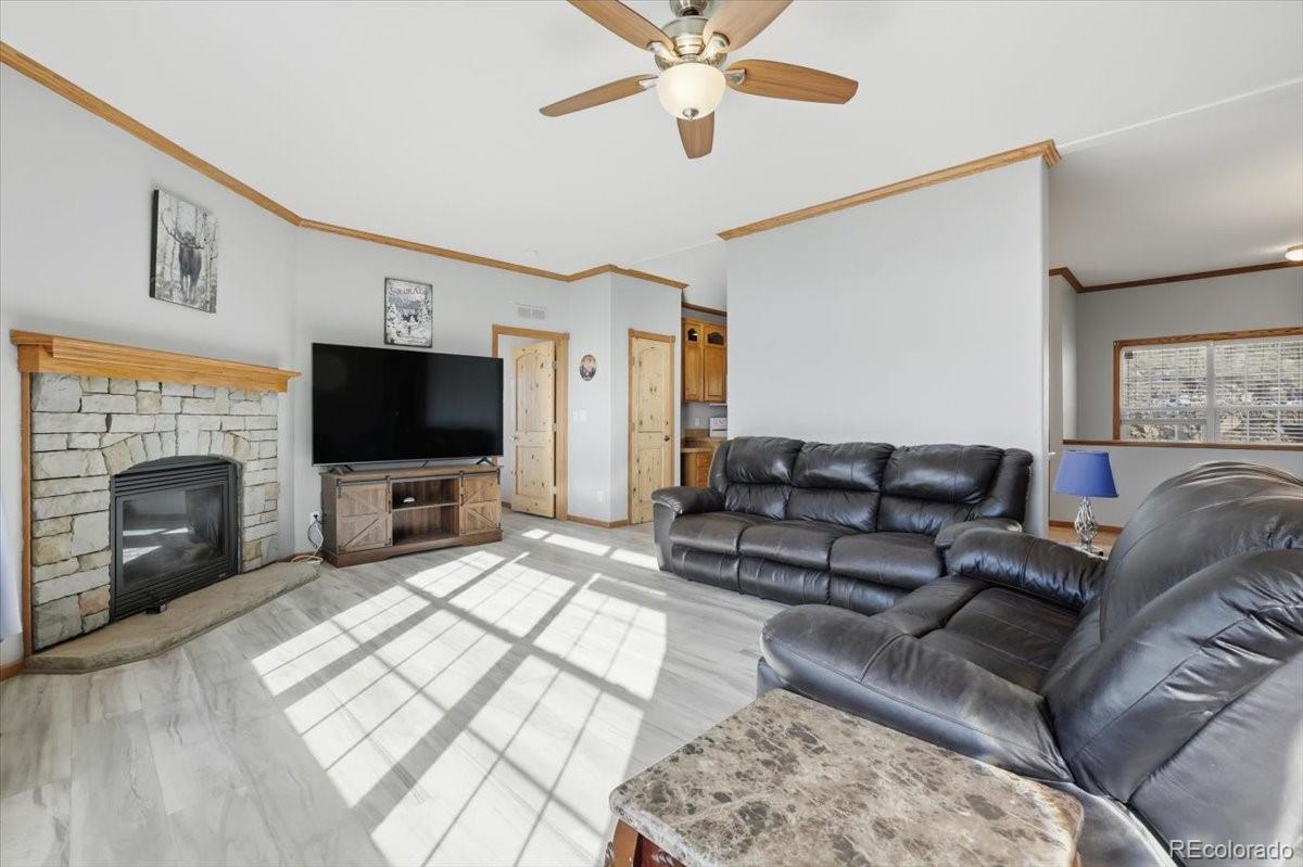 MLS Image #8 for 204  crooked creek road,fairplay, Colorado