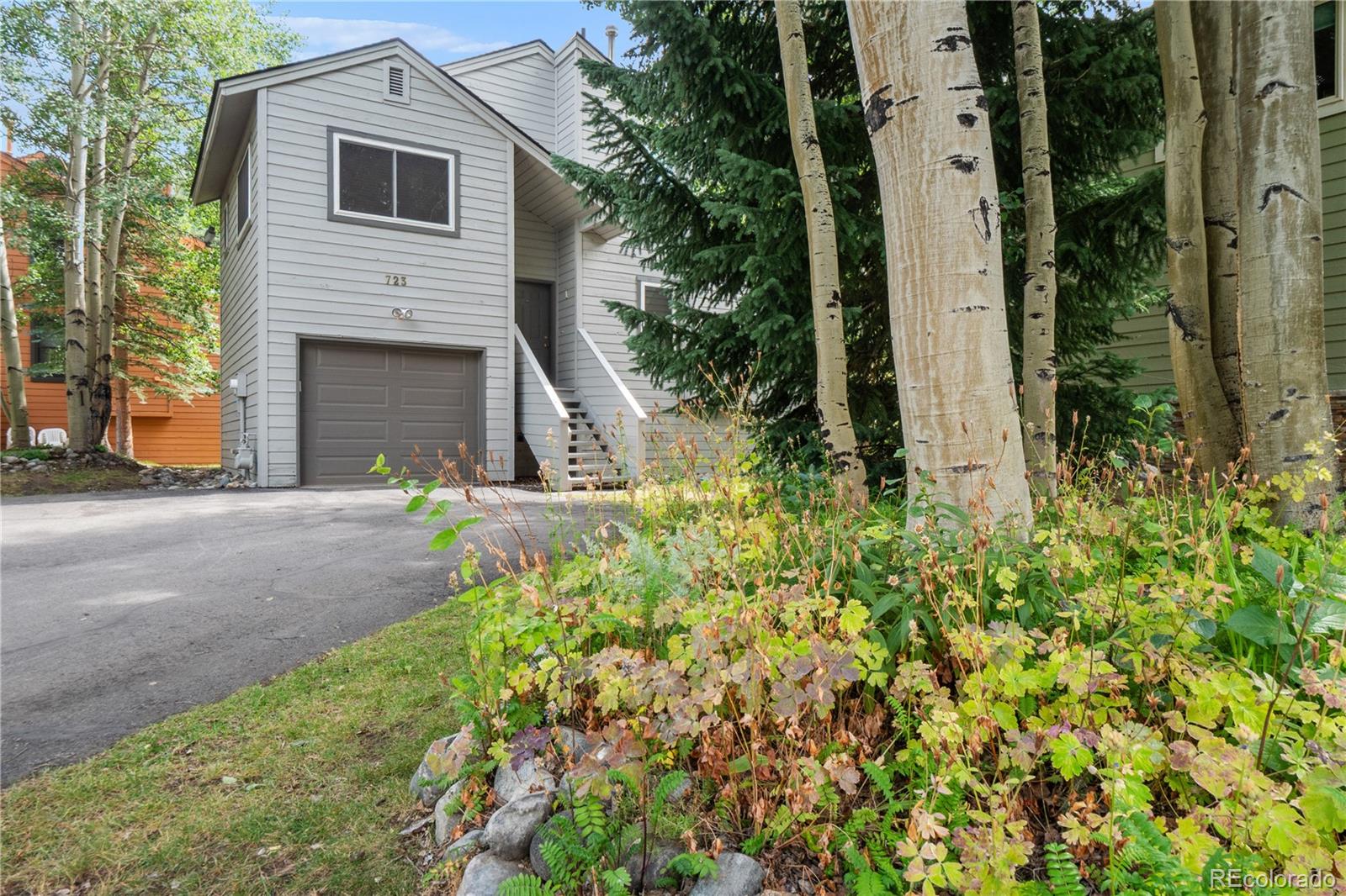 MLS Image #1 for 723  hunters circle,frisco, Colorado