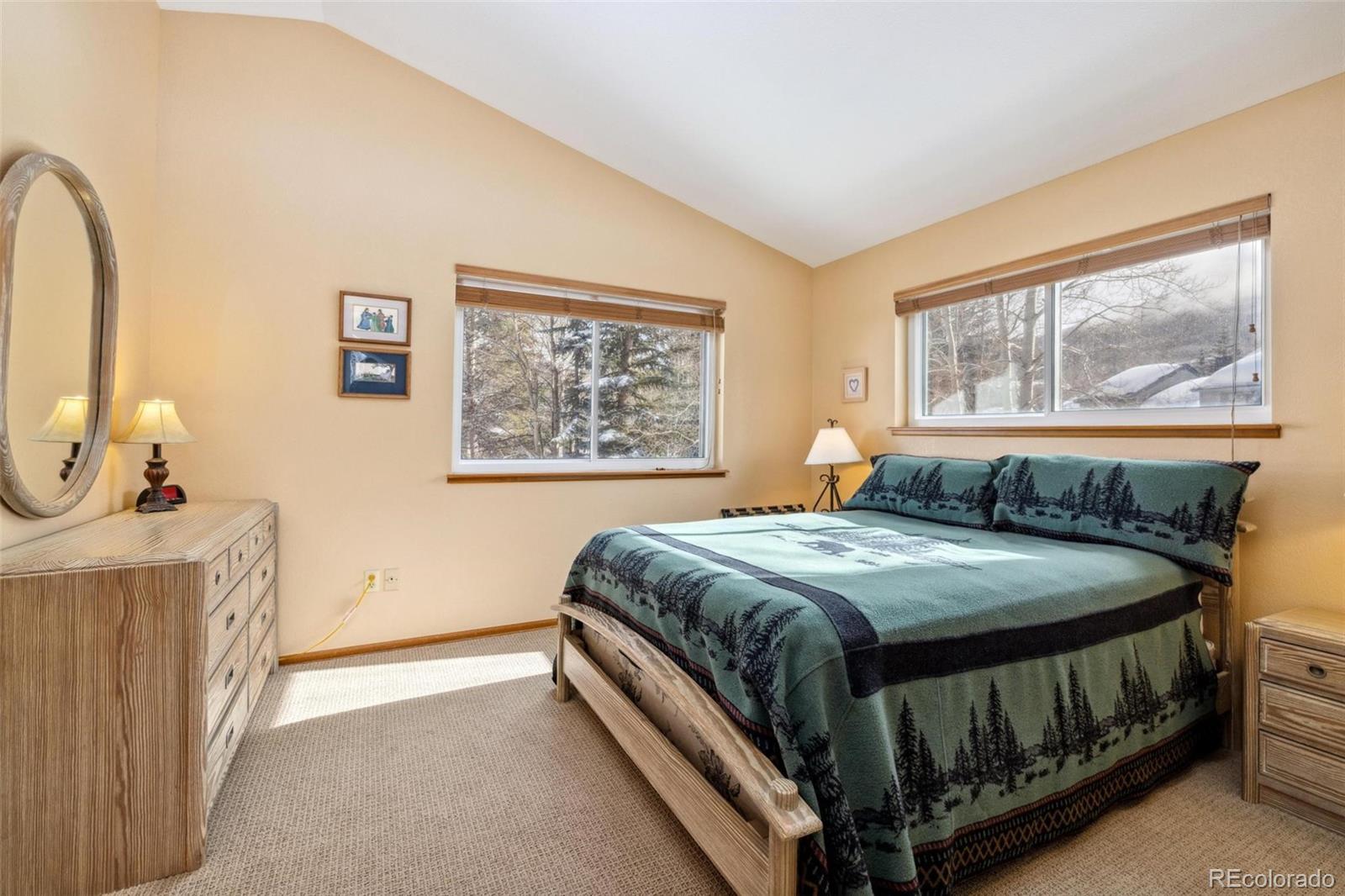 MLS Image #11 for 723  hunters circle,frisco, Colorado