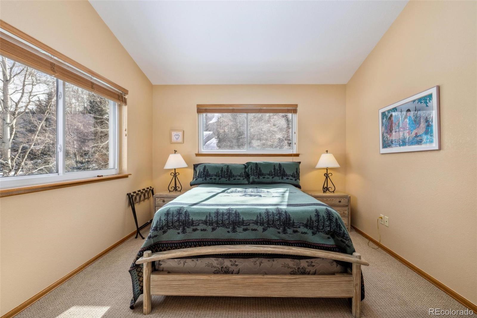 MLS Image #12 for 723  hunters circle,frisco, Colorado