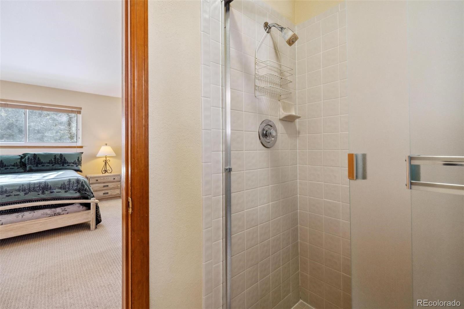 MLS Image #14 for 723  hunters circle,frisco, Colorado