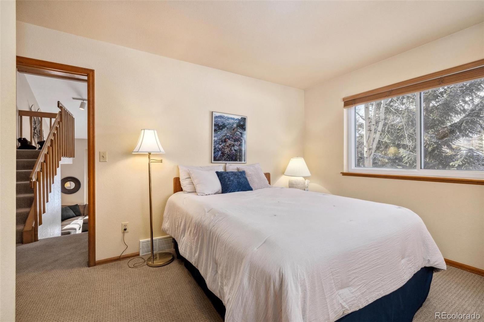 MLS Image #15 for 723  hunters circle,frisco, Colorado