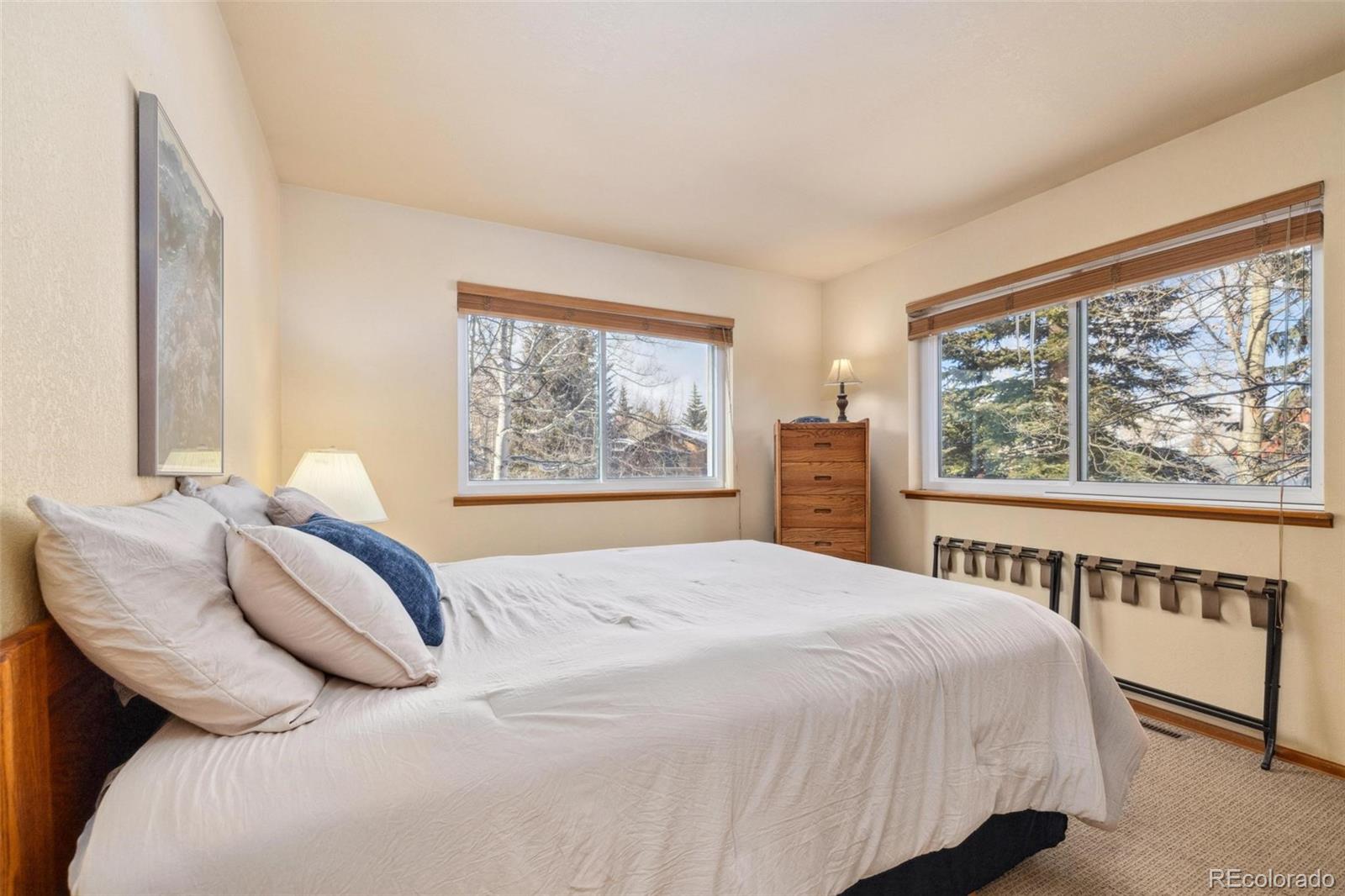 MLS Image #16 for 723  hunters circle,frisco, Colorado