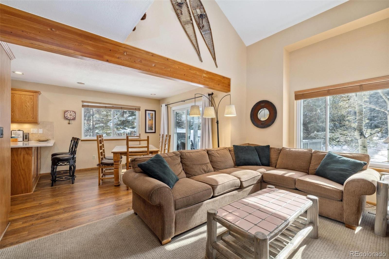 MLS Image #5 for 723  hunters circle,frisco, Colorado