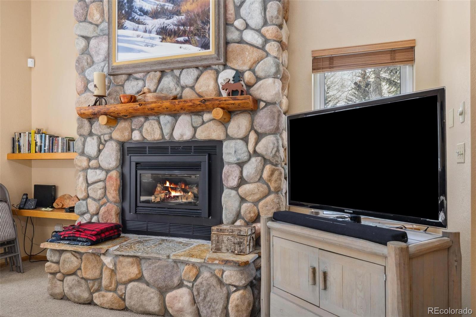 MLS Image #6 for 723  hunters circle,frisco, Colorado
