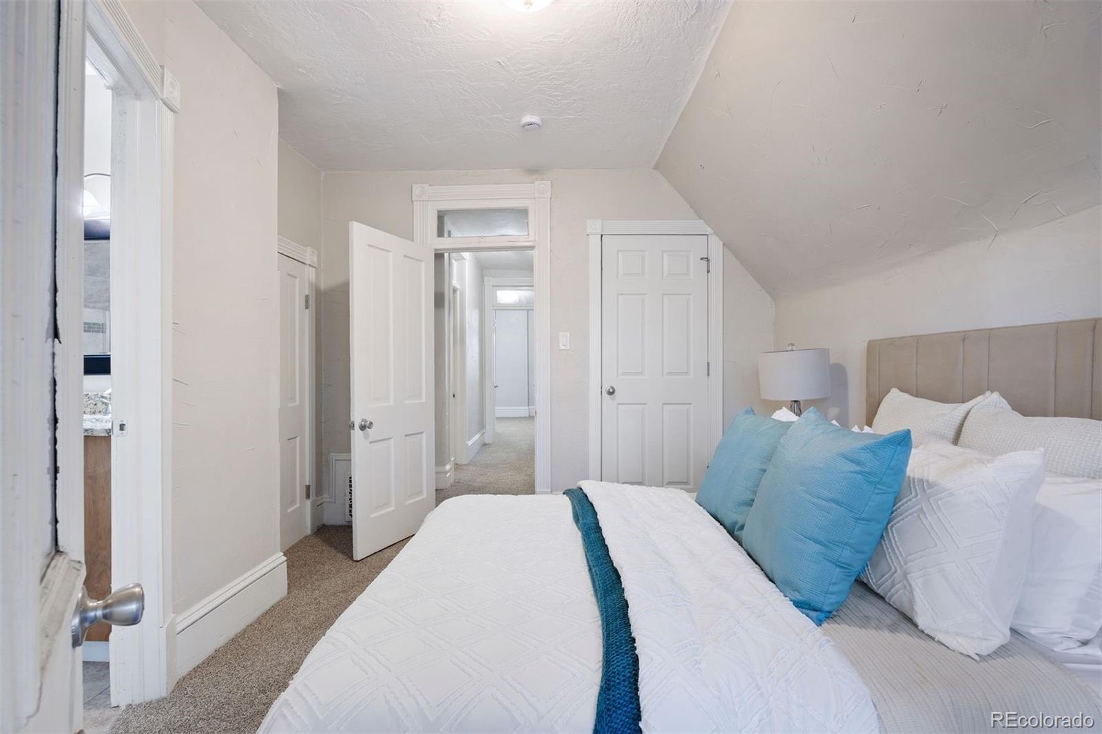 MLS Image #27 for 1515 e 31st avenue,denver, Colorado