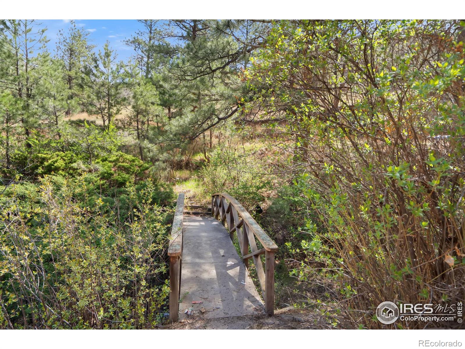 MLS Image #29 for 7301  poudre canyon road,bellvue, Colorado