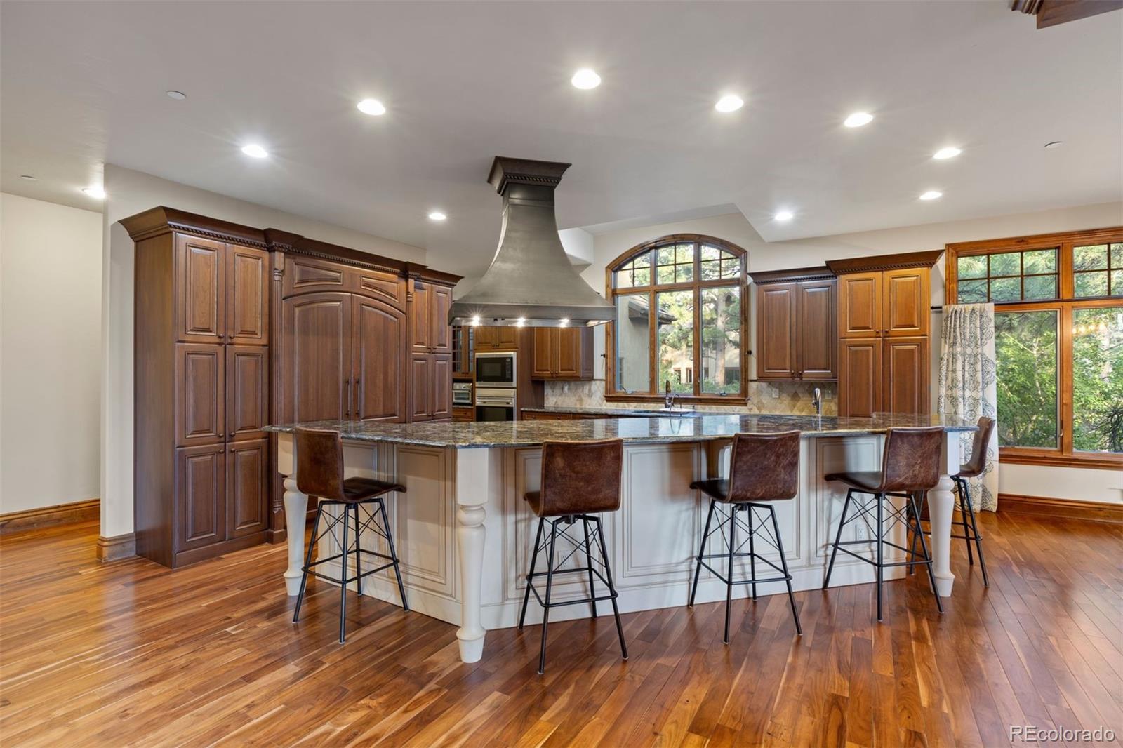 MLS Image #13 for 976  country club parkway,castle rock, Colorado