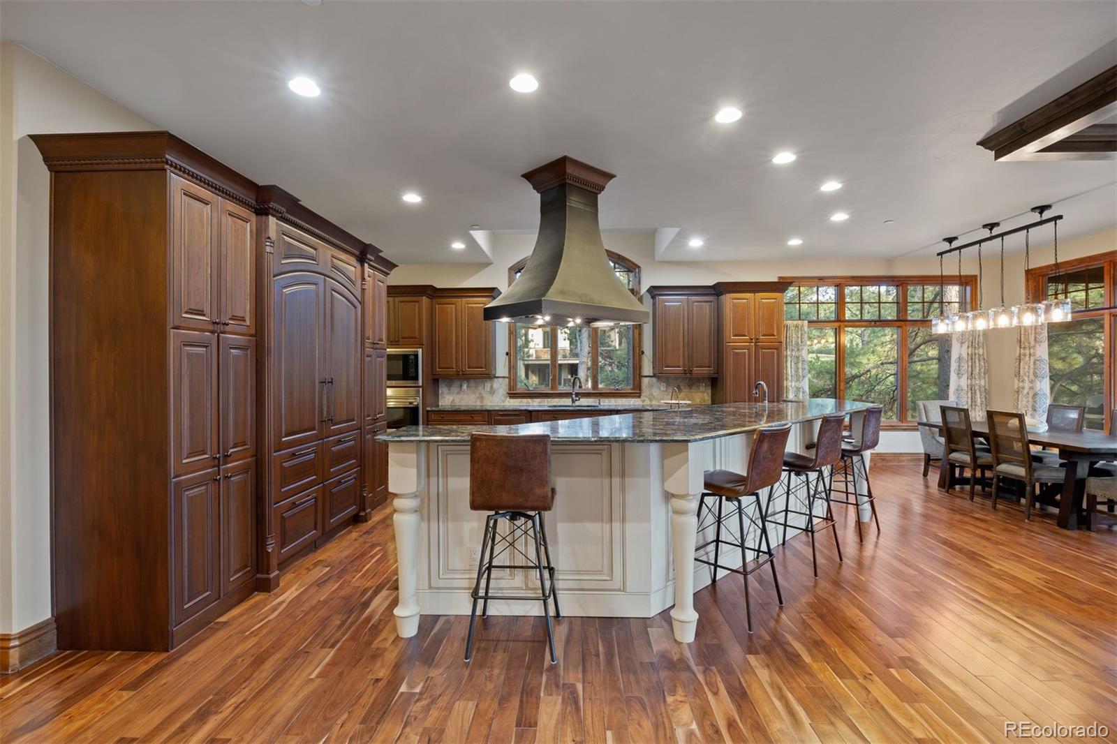 MLS Image #15 for 976  country club parkway,castle rock, Colorado